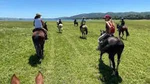 Cabalgatas